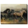 Free Rein Outdoor Canvas Art Print