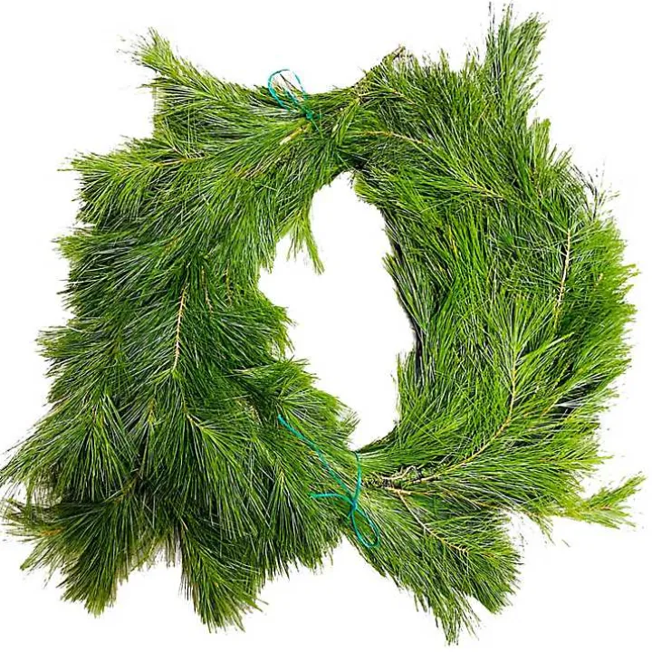 Fresh Cut White Pine Christmas Garland