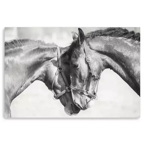 Friends Canvas Art Print