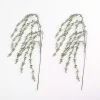 Frosted Draping Eucalyptus Stems, Set of 2