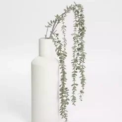 Frosted Draping Eucalyptus Stems, Set of 2