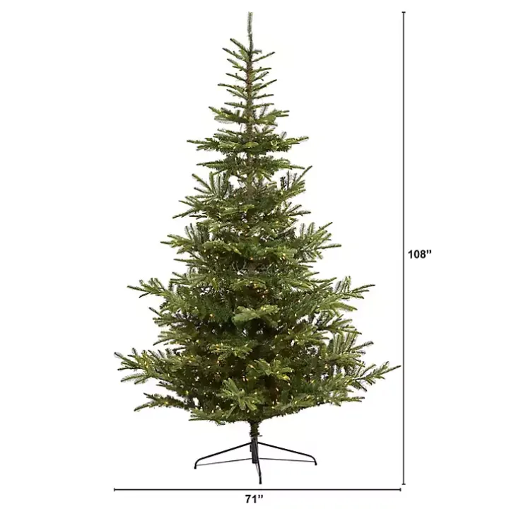 9 ft. Clear Lit Washington Spruce Christmas Tree