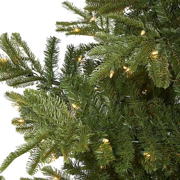 9 ft. Clear Lit Washington Spruce Christmas Tree