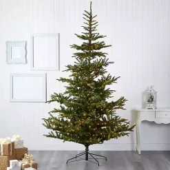 9 ft. Clear Lit Washington Spruce Christmas Tree