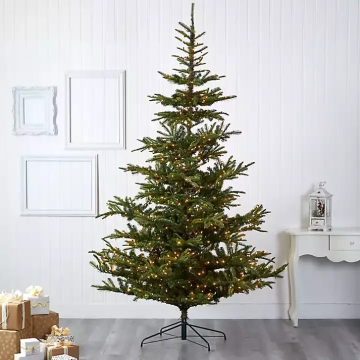 9 ft. Clear Lit Washington Spruce Christmas Tree