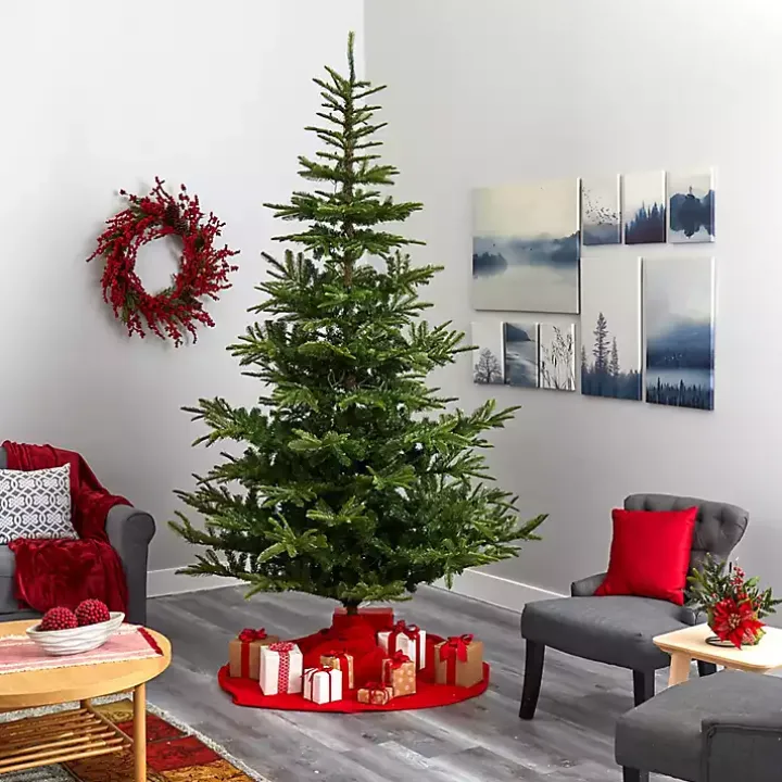 9 ft. Clear Lit Washington Spruce Christmas Tree