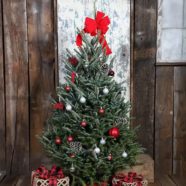 5 ft. Fresh Cut Fraser Fir Christmas Tree