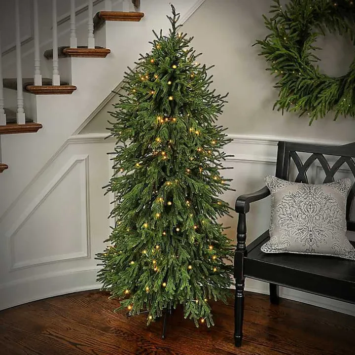 5 ft. Pre-Lit Natural Touch Norfolk Christmas Tree