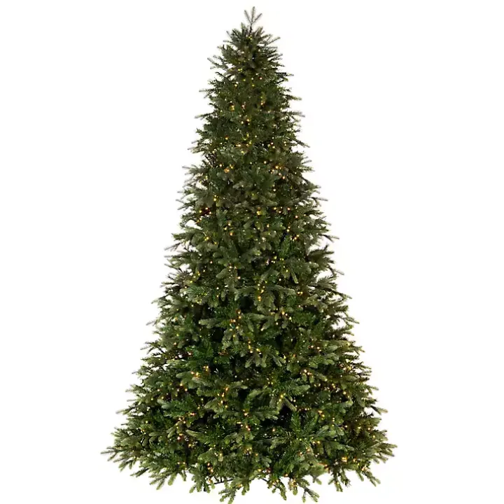 6.5 ft. Warm LED Douglas Fir Christmas Tree
