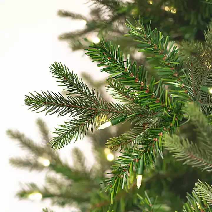 6.5 ft. Warm LED Douglas Fir Christmas Tree