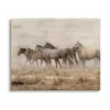 Galloping Horse Herd Canvas Art Print, 40x30 in.