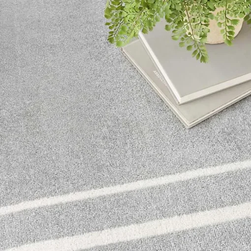 Gray Bordered Indoor/Outdoor Area Rug, 6x9