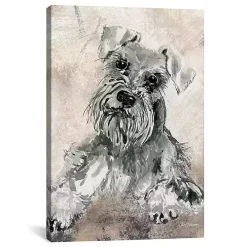 Gray Schnauzer Canvas Art Print