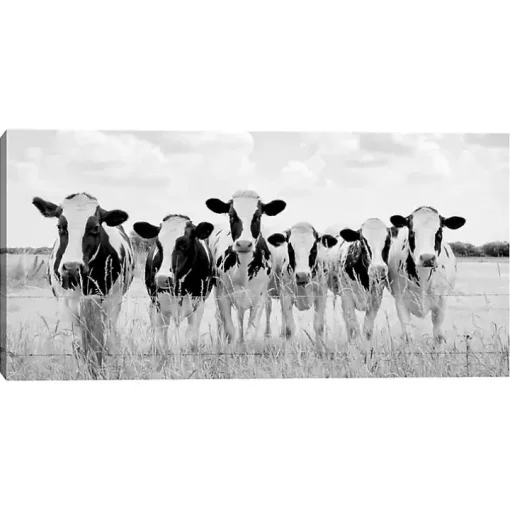 Grazing Cow Monochrome Canvas Art Print, 35x17 in.