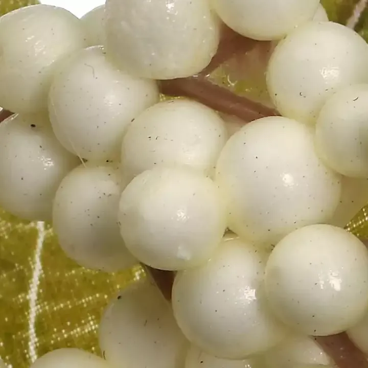 Green and Gray Ribbon Harvest Mix Wreath