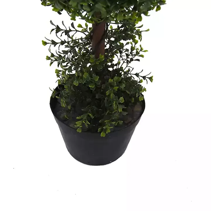 Green Double Ball Boxwood Potted Topiary