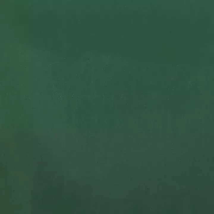 Green Everyday Polyester Cloth Napkins, Set of 12