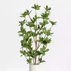 Green Leaves Stems, Set of 3