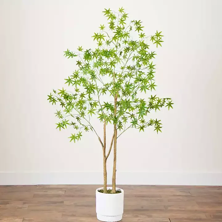 Green Maple Tree in White Planter