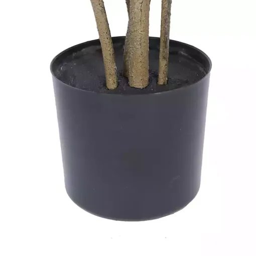 Green Potted Cotinus Coggygria Tree, 4 ft.