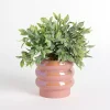 Greenery Arrangement in Iridescent Pink Planter