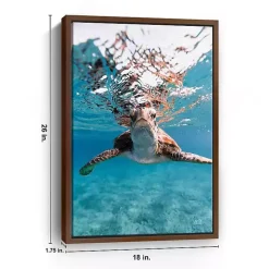 Hello Turtle Framed Canvas Art Print