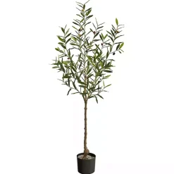 Italian Olive Tree in Black Nursery Planter, 5 ft.