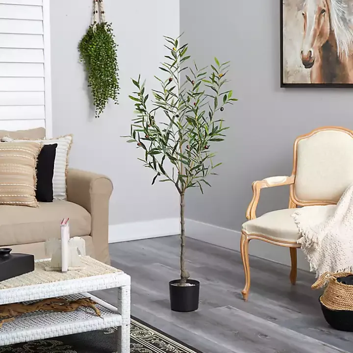 Italian Olive Tree in Black Nursery Planter, 5 ft.