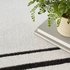 Ivory Bordered Indoor/Outdoor Area Rug, 6x9