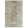 Ivory Wilcox Medallion Area Rug, 6x9