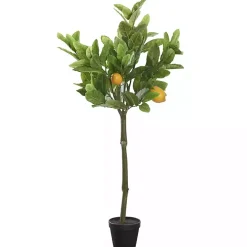 Lemon Fruit Tree in Black Pot