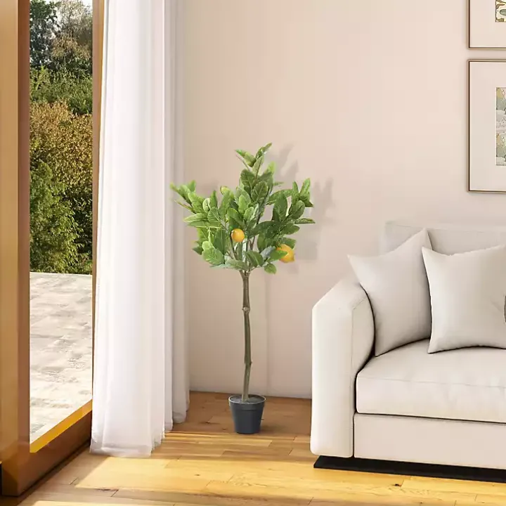 Lemon Fruit Tree in Black Pot