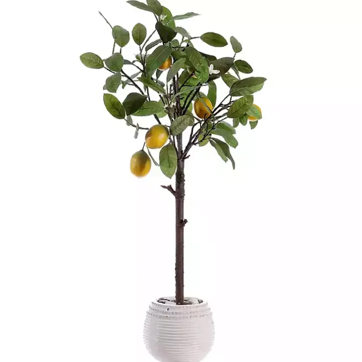 Lemon Tree in White Pot
