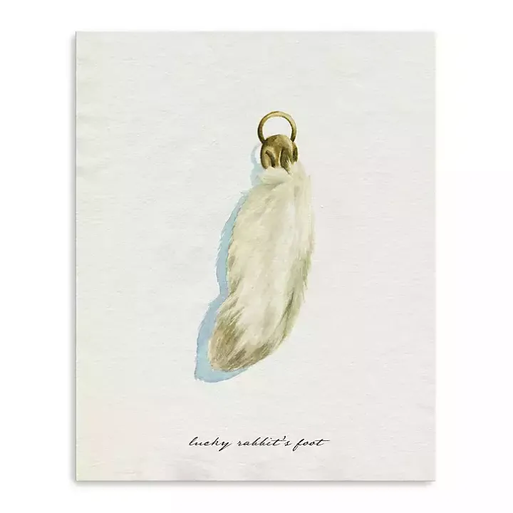 Lucky Rabbit's Foot Canvas Art Print