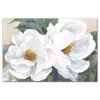 Magnolia Blossoms Canvas Art Print