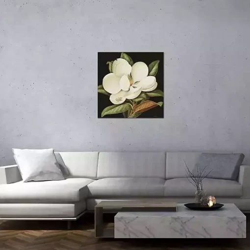 Magnolia Grandiflora Canvas Art Print