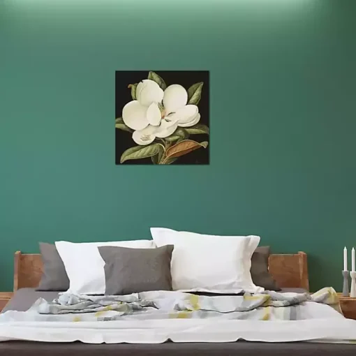 Magnolia Grandiflora Canvas Art Print