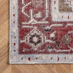 Miley Traditional Medallion Washable Area Rug, 5x8