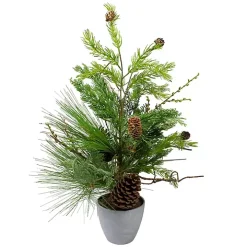 Mixed Pine Potted Christmas Tree