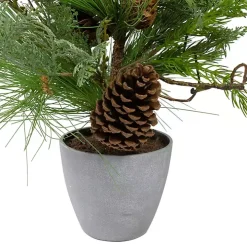Mixed Pine Potted Christmas Tree