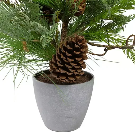 Mixed Pine Potted Christmas Tree