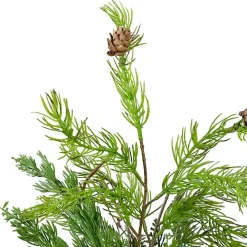 Mixed Pine Potted Christmas Tree