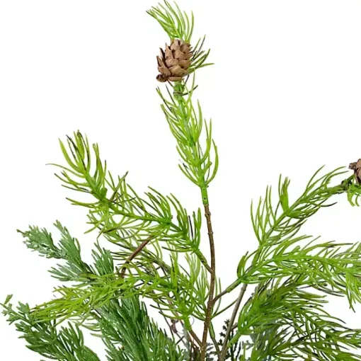 Mixed Pine Potted Christmas Tree