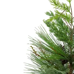 Mixed Pine Potted Christmas Tree