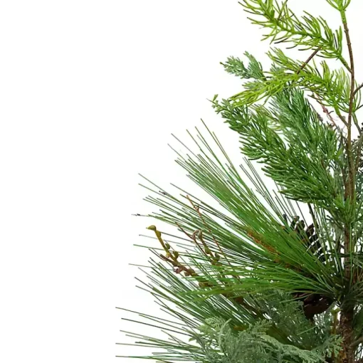 Mixed Pine Potted Christmas Tree