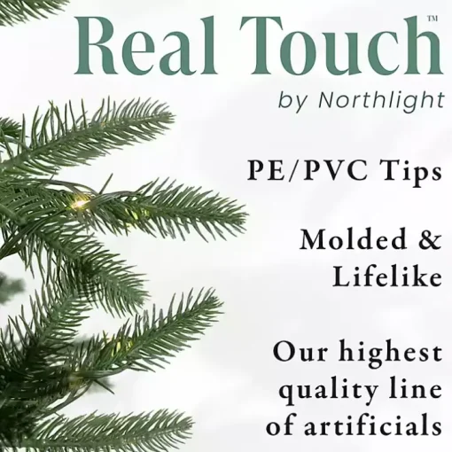 Mixed Pine Potted Christmas Tree