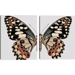 Monarch Butterfly I & II Canvas Prints, Set of 2