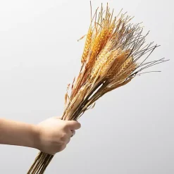 Neutral Fall Wheat Bundles, Set of 2