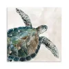 Neutral Sea Turtle I Giclee Canvas Art Print