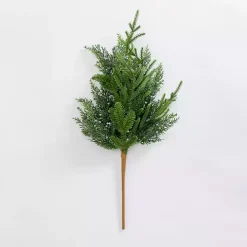 Norfolk Pine and Blue Berry Stem